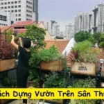 Bật Mí Cách Dựng Vườn Trên Sân Thượng Nhỏ