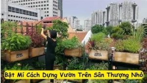 Bật Mí Cách Dựng Vườn Trên Sân Thượng Nhỏ