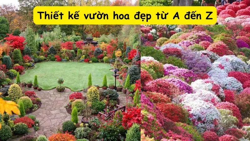 Thiết kế vườn hoa đẹp từ A đến Z