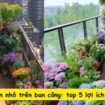 Khu vườn nhỏ trên ban công: top 5 lợi ích bất ngờ