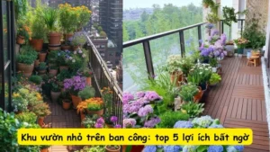 Khu vườn nhỏ trên ban công: top 5 lợi ích bất ngờ