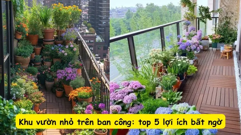 Khu vườn nhỏ trên ban công: top 5 lợi ích bất ngờ