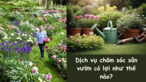 Dịch vụ chăm sóc sân vườn có lợi như thế nào?