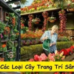 Top 8 Các Loại Cây Trang Trí Sân Vườn